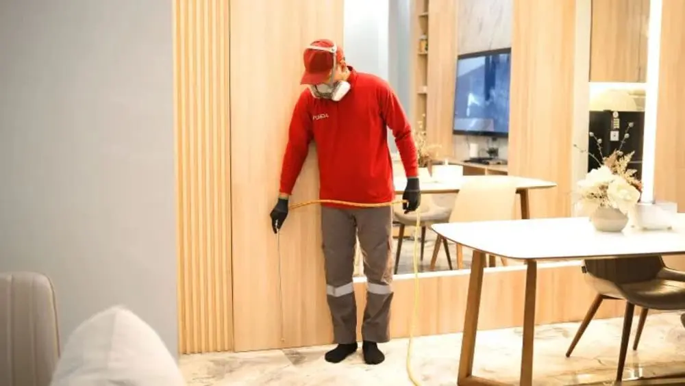 perawatan anti rayap surabaya