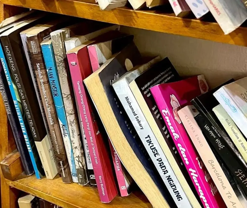cara mengusir rayap di koleksi novel favorit